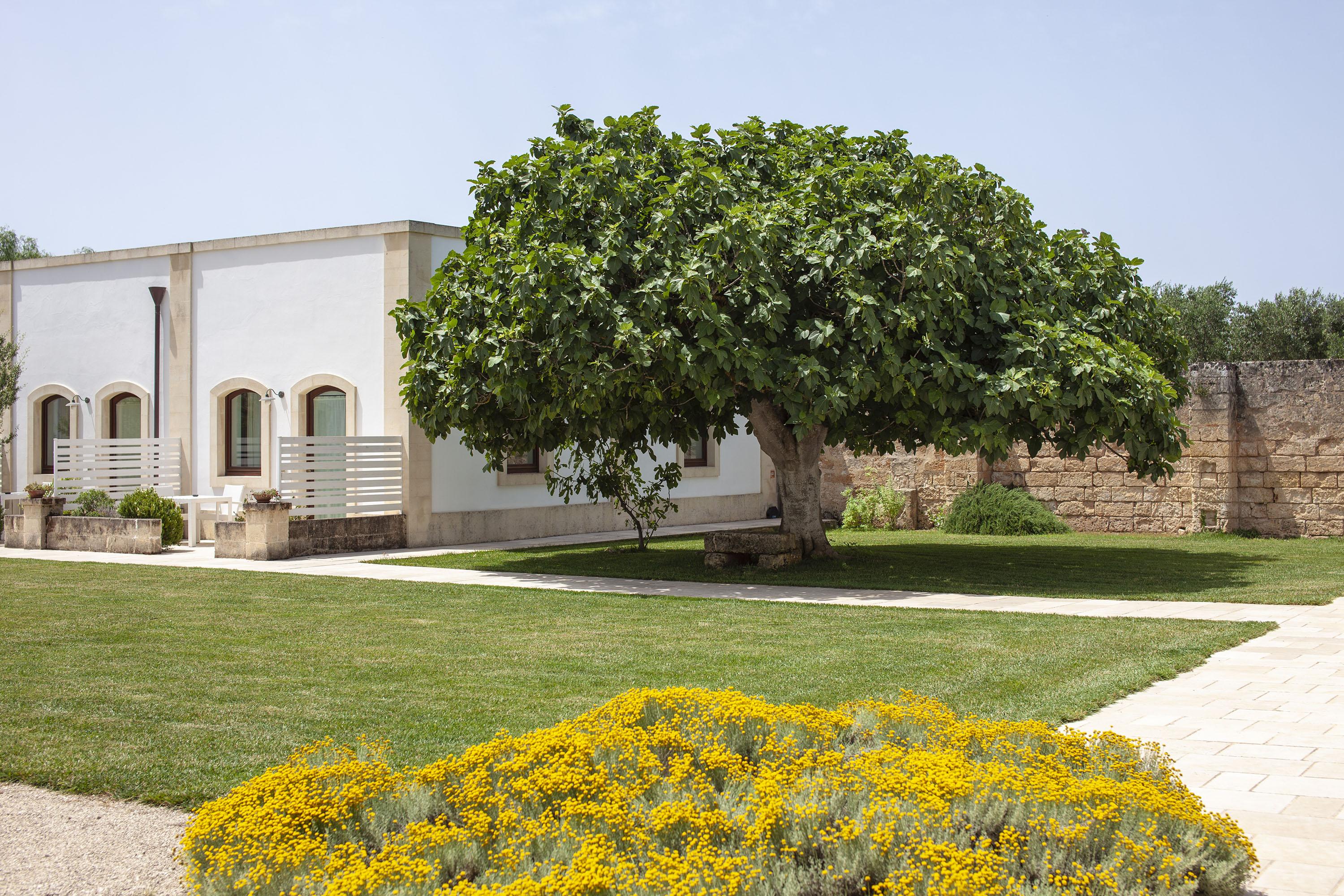 Masseria Corda Di Lana Hotel & Resort Torre Lapillo Eksteriør billede